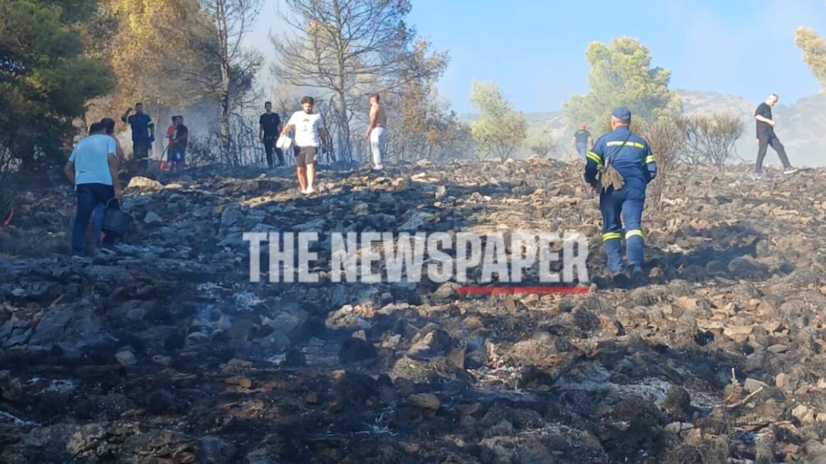 Φωτιά σε δασική έκταση στον Άγιο Ονούφριο Μαγνησίας – 5 εναέρια μέσα στην μάχη (φωτογραφίες, βίντεο)