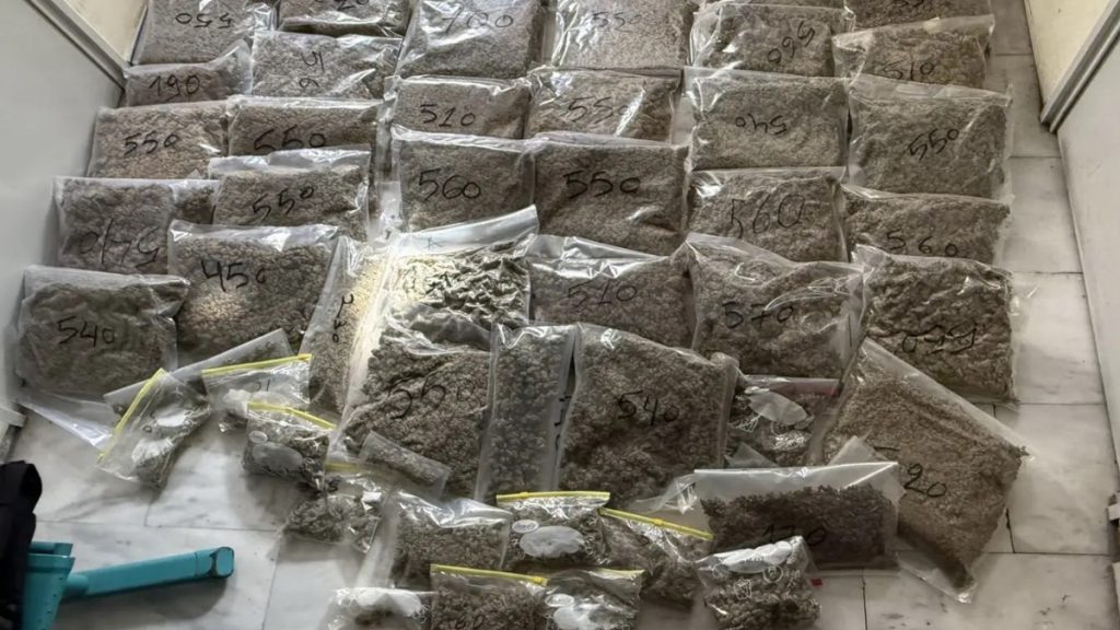 Εντοπίστηκαν πάνω από 22 κιλά κάνναβης σε αποθήκη στο Μαρκόπουλο (φωτογραφίες)