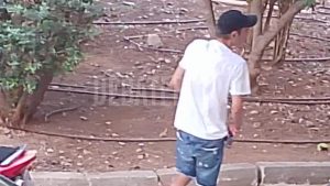 Πατήσια: «Κάνουν χρήση και εμπορία ναρκωτικών μπροστά στα μάτια μας» – Δείτε βίντεο