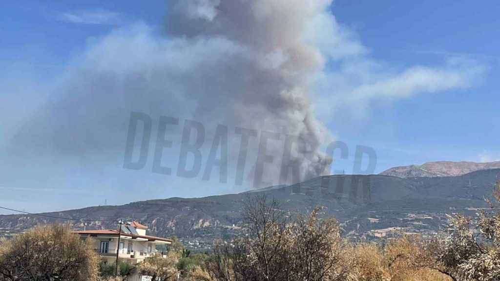 Φωτιά σε δασική έκταση στο Άνω Καστρίτσι Αχαΐας – Επιχειρούν 5 εναέρια μέσα (βίντεο, φωτογραφίες)