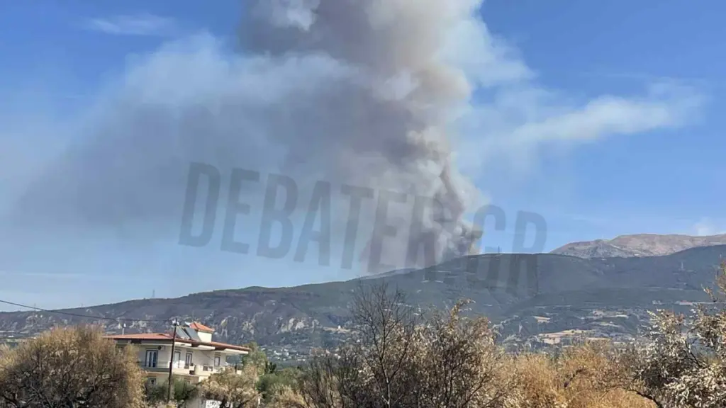 Φωτιά σε δασική έκταση στο Άνω Καστρίτσι Αχαΐας – Επιχειρούν 8 εναέρια μέσα (βίντεο, φωτογραφίες)