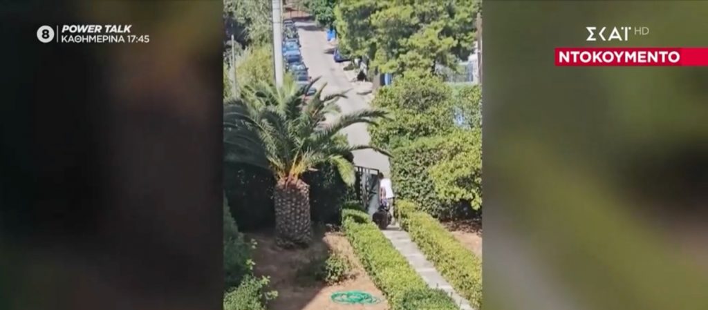 Φρίκη στην Πεύκη: Άνδρας χρησιμοποιεί κυνηγόσκυλα για να σκοτώνει γάτες – Τα καθοδηγεί να τα πνίγουν