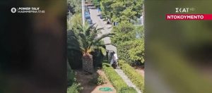Φρίκη στην Πεύκη: Άνδρας χρησιμοποιεί κυνηγόσκυλα για να σκοτώνει γάτες – Τα καθοδηγεί να τα πνίγουν