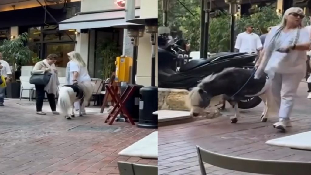 Γυναίκα πήγε βόλτα στο κέντρο της Αθήνας με το πόνυ της – Δείτε Βίντεο