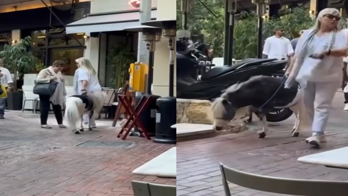 Γυναίκα πήγε βόλτα στο κέντρο της Αθήνας με το πόνυ της – Δείτε Βίντεο