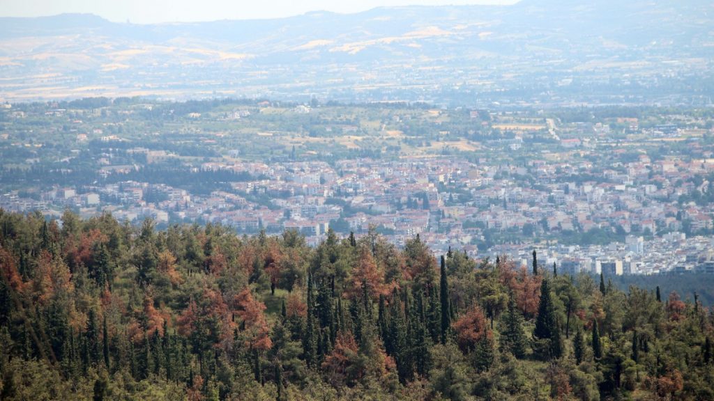 Θεσσαλονίκη: 51χρονος έσφαξε και έγδαρε αρνί στο δάσος του Σέιχ Σου για να τιμήσει το κουρμπάνι