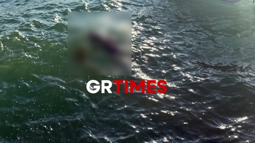 Θεσσαλονίκη: Τακτοποιήθηκε η μία σορός που βρέθηκε στον Θερμαϊκό – Ερωτήματα για την δεύτερη