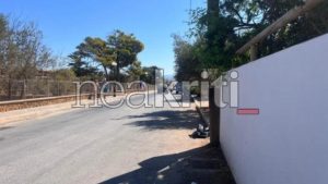 Κρήτη: Συνελήφθη 27χρονος Αιγύπτιος για το τροχαίο με θύμα μία 23χρονη στα Μάλια – Δεν είχε δίπλωμα