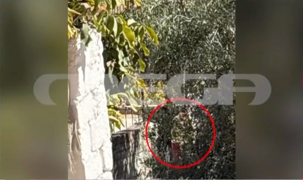 Βοιωτία: «Φρούριο» το σπίτι της 62χρονης που έθαψε τη μητέρα της – Τι είπε στην ομολογία της – Η ανακοίνωση της ΕΛ.ΑΣ
