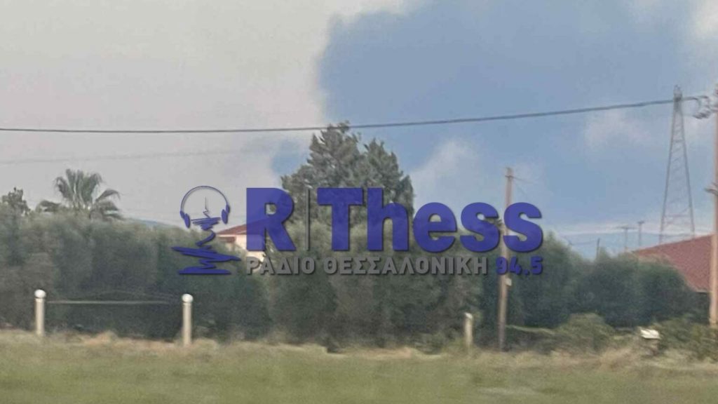 Φωτιά τώρα σε ελαιοτριβείο στην Χαλκιδική:  Ήχησε το 112 – «Κλείστε πόρτες και παράθυρα» (Βίντεο)