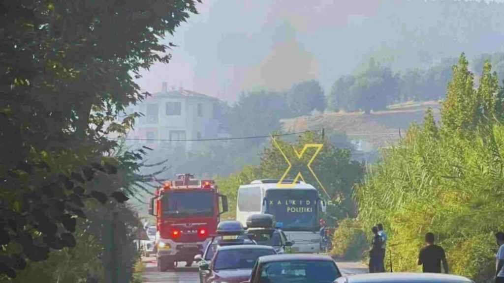 Φωτιά σε αγροτοδασική έκταση στη Λαγομάνδρα Χαλκιδικής – Ήχησε το 112 (Βίντεο)