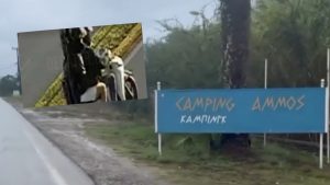 Φοινικούντα: Ο ανιψιός του 68χρονου αναγνώρισε τον δολοφόνο – Το τηλεφώνημα “κλειδί” που οδηγεί στον ηθικό αυτουργό