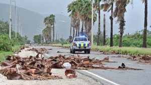 Τυφώνας Μελίσσα: Σάρωσε τα πάντα στην Τζαμάικα και κατευθύνεται στην Κούβα με ανέμους 210 χλμ/ώρα – Εικόνες αποκάλυψης (βίντεο)