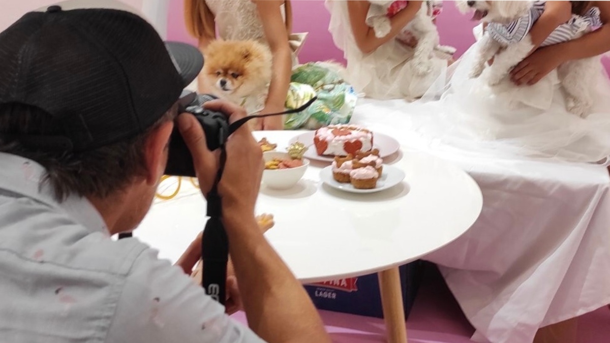 Θεσσαλονίκη: Πάρτι γενεθλίων για… κατοικίδια με τούρτες και μπουφέ για τους τετράποδους καλεσμένους