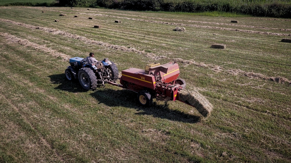 ΑΑΔΕ: Αγροτικές ενισχύσεις 27,8 εκατ. ευρώ σε 24.000 δικαιούχους
