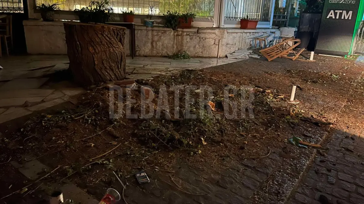 Μοναστηράκι: Δέντρο παραλίγο να πέσει πάνω σε γκρουπ τουριστών (φωτογραφίες)