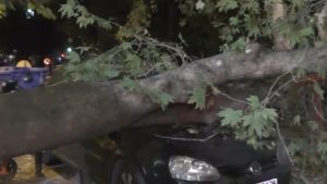 Θεσσαλονίκη: Δέντρο καταπλάκωσε αυτοκίνητο στην Τούμπα (βίντεο)