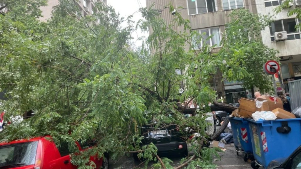 Η νεροποντή έριξε δέντρο στο κέντρο της Αθήνας – Ξεριζώθηκε και έπεσε πάνω σε περαστικό (Εικόνα)