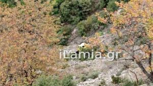 Τραγωδία στην Ευρυτανία: Νεκρός 39χρονος που έπεσε με το αυτοκίνητό του σε χαράδρα 60 μέτρων