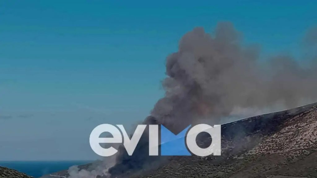 Συναγερμός στην Εύβοια: Πυρκαγιά στους Ζάρακες απειλεί κατοικίες