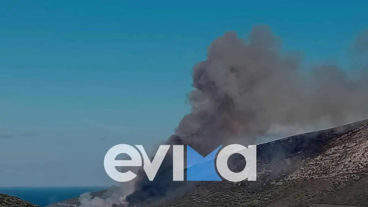 Συναγερμός στην Εύβοια: Πυρκαγιά στους Ζάρακες απειλεί κατοικίες