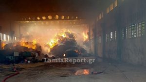 Αυλώνας Αττικής: Φωτιά σε αποθήκη με ζωοτροφές (Φωτογραφίες)