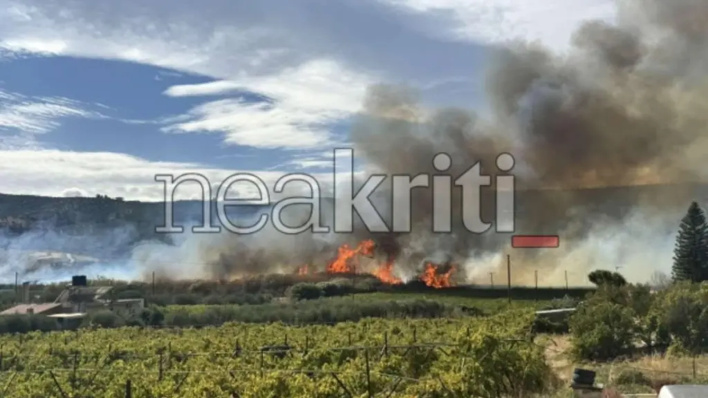 Φωτιά τώρα στο Ηράκλειο – Ήχησε το 112, σηκώθηκε ένα ελικόπτερο (Εικόνα + Βίντεο)