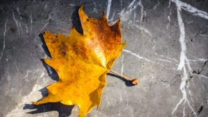 Επέκταση της θερινής τουριστικής περιόδου και δυναμικό ξεκίνημα για τη χειμερινή σεζόν