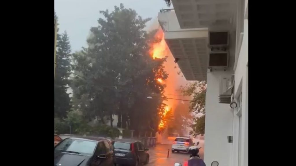 Ναύπακτος: Δέντρο χτυπήθηκε από κεραυνό και πήρε φωτιά (Βίντεο)