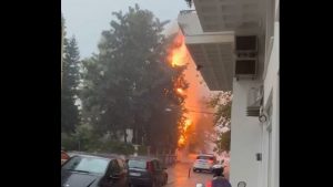 Ναύπακτος: Δέντρο χτυπήθηκε από κεραυνό και πήρε φωτιά (Βίντεο)