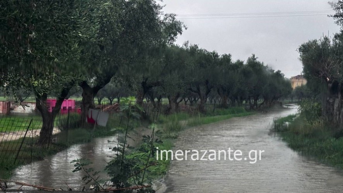 Ζάκυνθος: «Ποτάμια» οι δρόμοι μετά την έντονη βροχόπτωση (Φωτογραφίες)