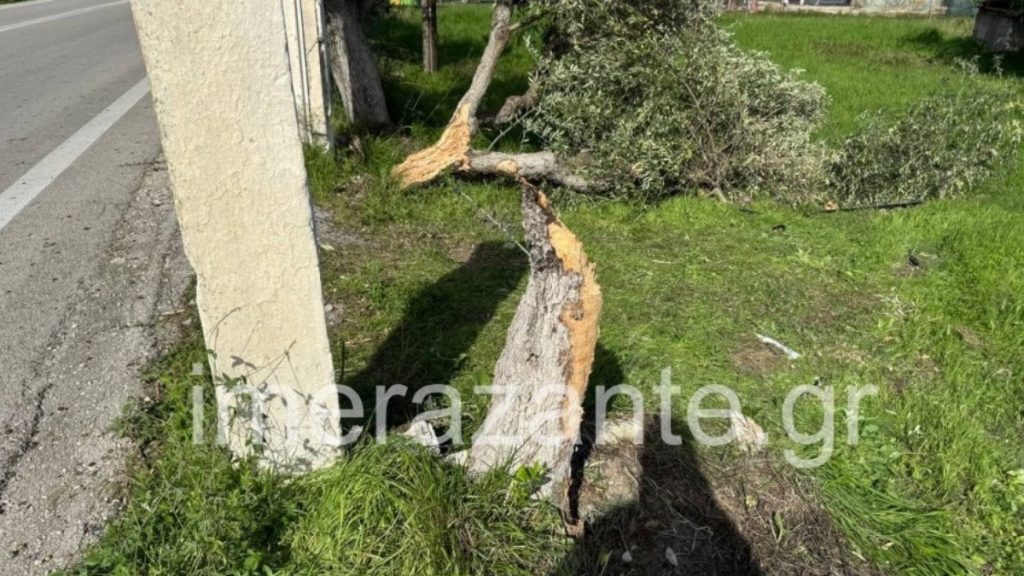 Ζάκυνθος: Νεκρός 48χρονος σε τροχαίο – Το αυτοκίνητό του καρφώθηκε σε δέντρο (Φωτογραφίες)