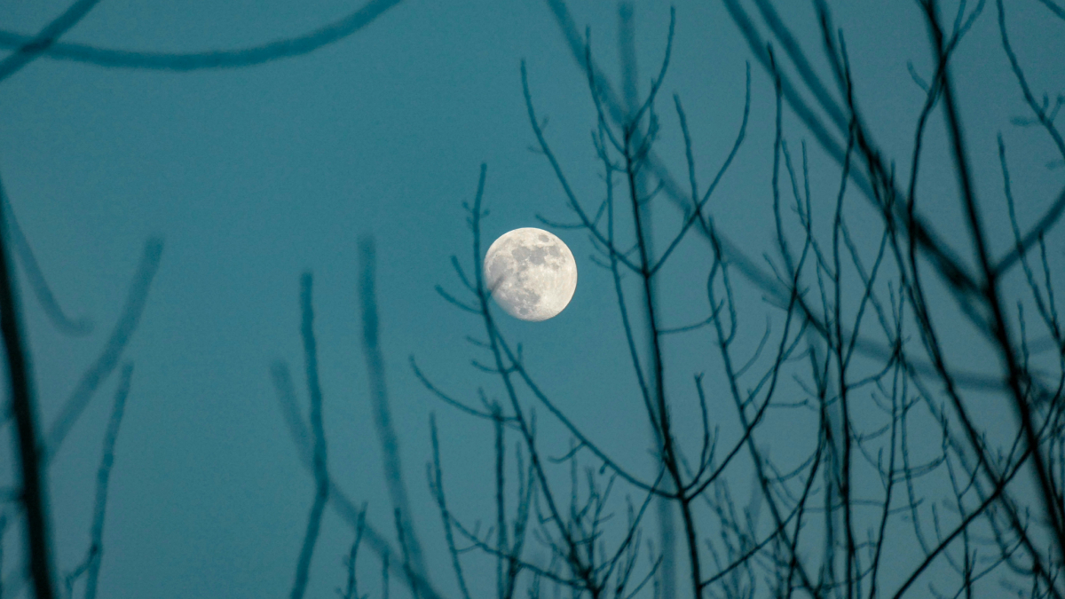 Πανσέληνος Νοεμβρίου 2025: Αυτά είναι τα 3 ζώδια που επηρεάζονται περισσότερο