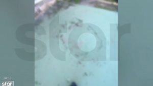 Άλιμος: «Τον απειλούν και του ζητούν 250 ευρώ», δήλωσε ο πατέρας του 15χρονου που δέχτηκε επίθεση στο προαύλιο του σχολείου