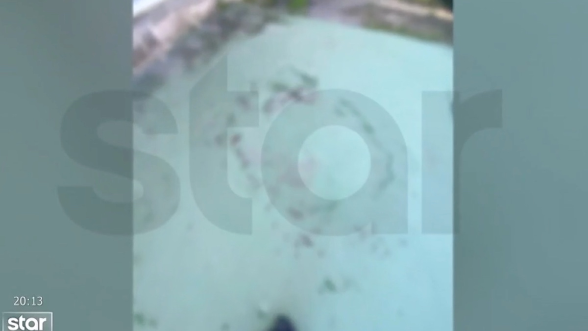 Άλιμος: «Τον απειλούν και του ζητούν 250 ευρώ», δήλωσε ο πατέρας του 15χρονου που δέχτηκε επίθεση στο προαύλιο του σχολείου