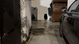 Περιστέρι: Έκρηξη έξω από το κλαμπ όπου είχε δολοφονηθεί ο 37χρονος Βούλγαρος – “Άνοιξαν τρύπες στον τοίχο του απέναντι μαγαζιού”