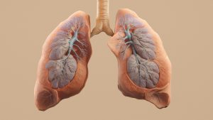 Τι είναι η κυστική ίνωση: Όσα πρέπει να ξέρετε για τη νόσο, με την οποία πάλεψε η Αναστασία Τασούλα