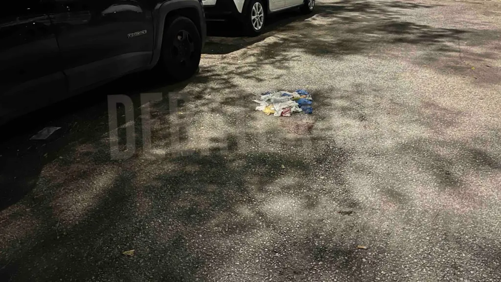 Νέος Κόσμος: Ομολόγησε ο 29χρονος τη δολοφονία του 58χρονου – Προκαλούν αποτροπιασμό οι λεπτομέρειες