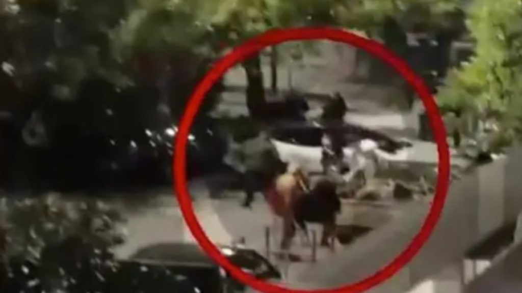 Νέος Κόσμος: Νέα δεδομένα για το αιματηρό επεισόδιο – Ο 58χρονος είχε στήσει καρτέρι στον 29χρονο πριν τη μοιραία καταδίωξη