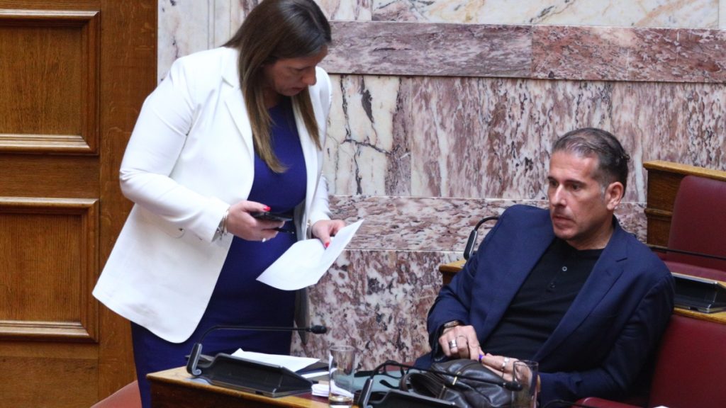 Πλεύση Ελευθερίας: Ποια αναλαμβάνει την έδρα του Διαμαντή Καραναστάση στη Βουλή