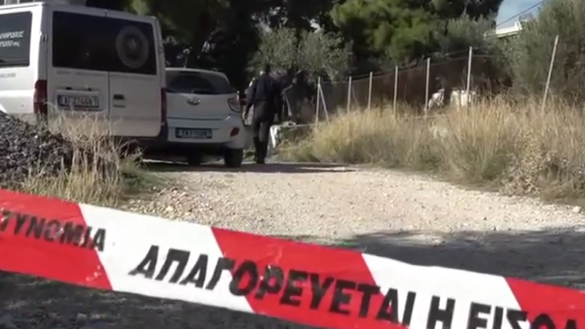 Νέα Πέραμος: “Δεν μου έδινε να πιω, τσακωθήκαμε και έγινε το κακό” – Τι είπε ο αδελφοκτόνος