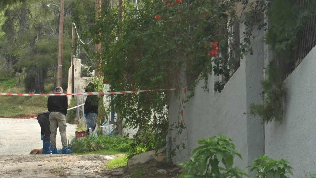 Σαλαμίνα: Ανατροπή στη δολοφονία της 75χρονης – Ομολόγησε ότι τη σκότωσε η νύφη της