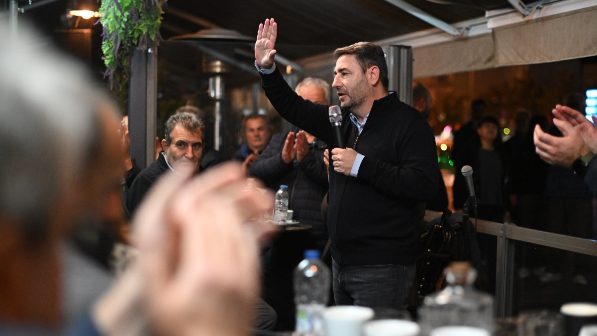 Ανδρουλάκης: Δεν ονομάζεται ανάπτυξη το ξεπούλημα της ελληνικής περιουσίας στην παραμεθόριο