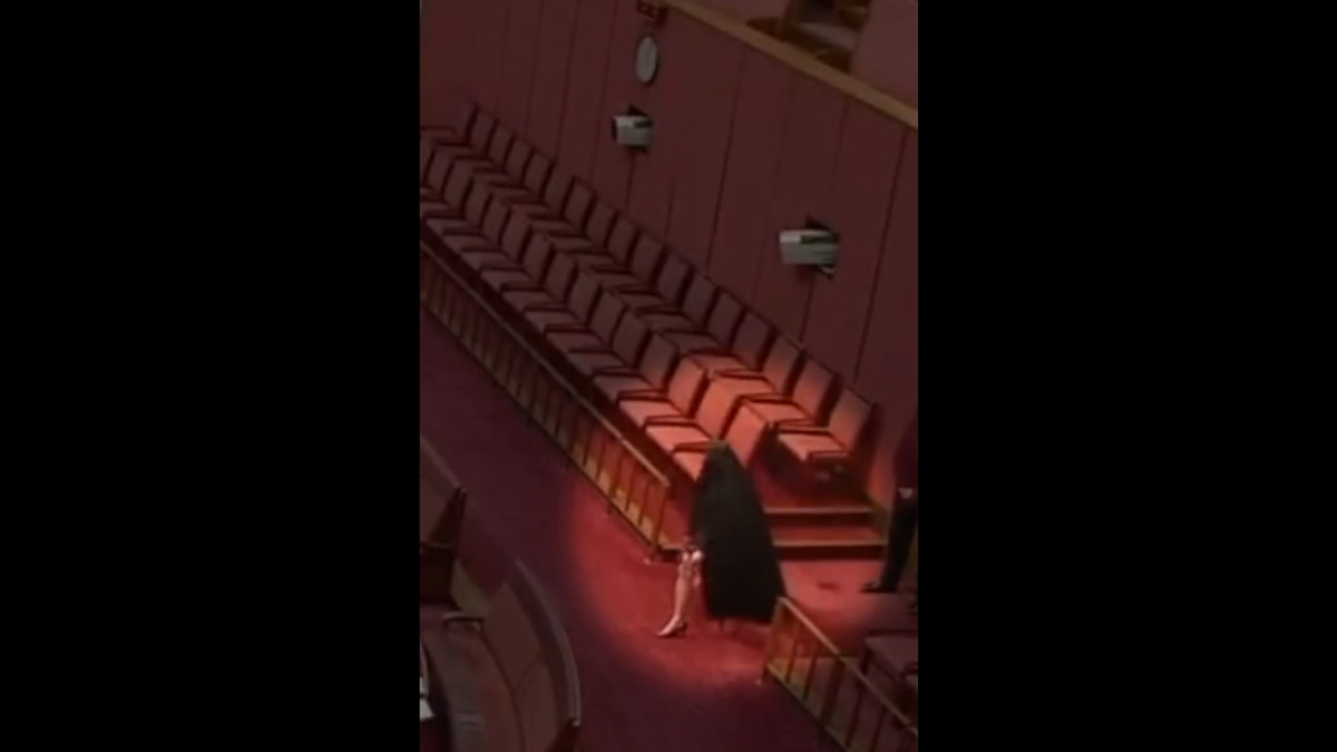 Αυστραλία: Ακροδεξιά γερουσιαστής εμφανίστηκε με μπούρκα στο Κοινοβούλιο (βίντεο+φωτογραφίες)
