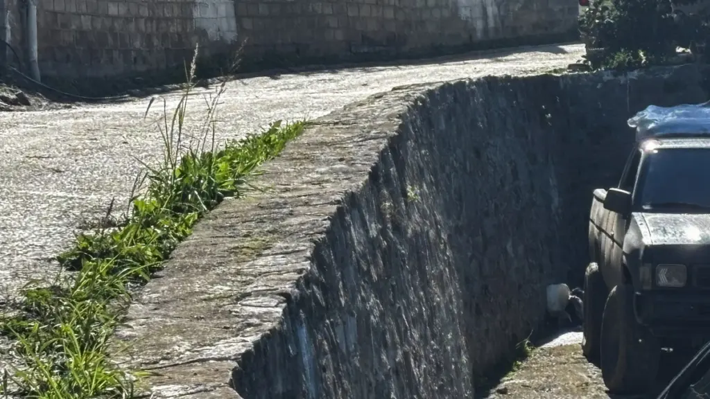 Αχαΐα: «Από την μάντρα έπεσαν με τη γουρούνα, δεν χτύπησε σε καμία γωνία» – Η αποκαλυπτική μαρτυρία για το 3χρονο αγοράκι (Βίντεο)
