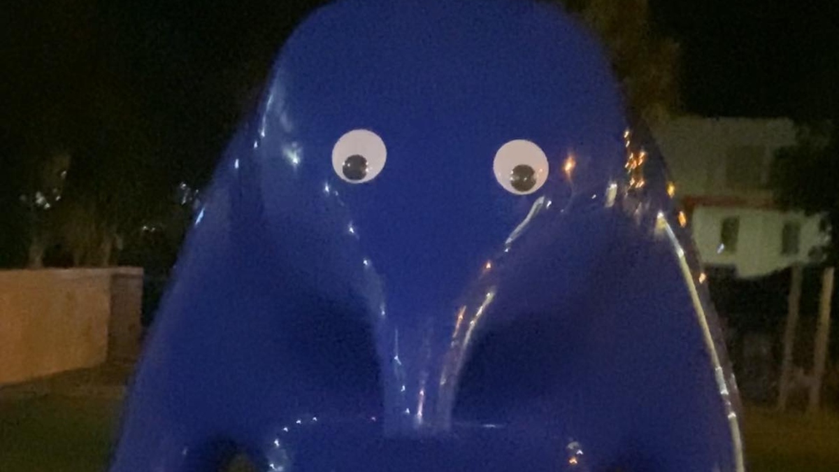 Αυστραλία: 19χρονη κόλλησε αυτοκόλλητα μάτια σε έργο τέχνης – Κατηγορείται για φθορά