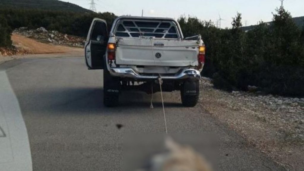 Εικόνες φρίκης στη Βοιωτία – Έσερνε με το αγροτικό του έναν νεκρό σκύλο