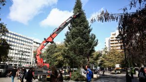 Χριστούγεννα 2025: Στήνεται το δέντρο στο Σύνταγμα – Φωταγωγούνται οι δρόμοι της Αθήνας (βίντεο+φωτογραφίες)
