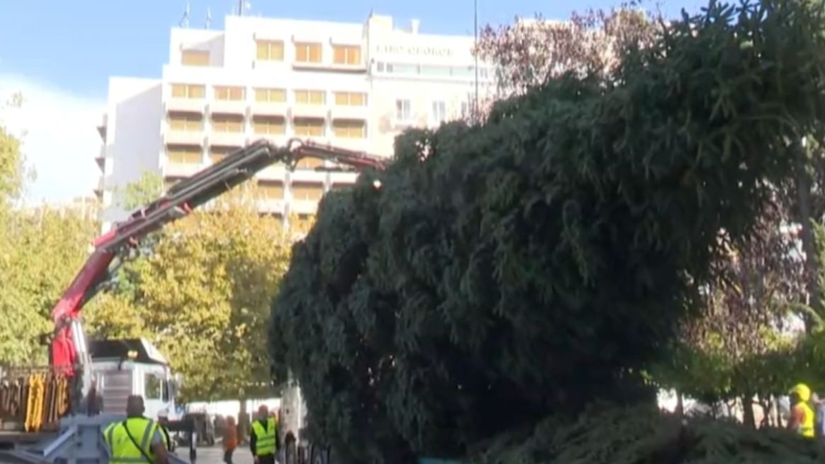 Χριστούγεννα 2025: Στήνεται το δέντρο στο Σύνταγμα – Φωταγωγούνται οι δρόμοι της Αθήνας (βίντεο)