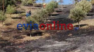 Τραγωδία στην Ερέτρια – Εντοπίστηκε νεκρός άνδρας μετά από πυρκαγιά σε χωράφι – Του ξέφυγε η φωτιά προσπαθώντας να κάψει χόρτα